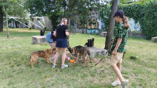 0-02-05-31f3853ef2dd766c1ad2bb29117c170f6e6eb9ec319904d09ebc1f5b5fb00f6e f6de66e0489be46