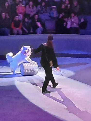 0-02-05-64eab3c3ff6f8df74aa7250e642c4eeb0b3fe61977674c3c1f59f494d3fadf63 2b1659371f297769