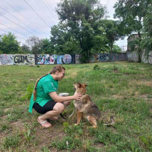 0-02-05-aee4ae6445fd030f1287f1fa76cf04e3b45d5da9198ba891dedb8b903a35030a 619043b57105e84b