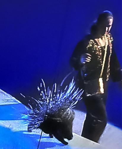 0-02-05-c5cdead650bd297c1ca09c8e3fc539a3259f05daa46e9913f6b3b208c78598ce f5b8b76d78ffb201