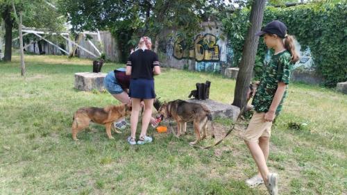 0-02-05-c979e4b9f43299fc6fe31c85b8c0fd4f4a5c9be209b375f8bea34f5244198e15 443b24be8ee3161d