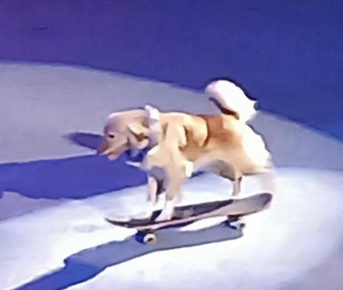 0-02-05-d4670e08570b1c96f9ad1c46169b4a1fad647b45db9ec01992e264e581b66ccd b706d67fc523dd17