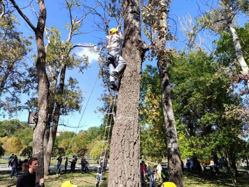 IMG-08412fb9a50357ac2fc553e5bef4b770-V