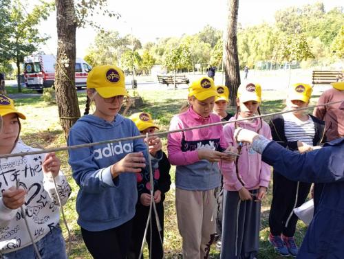 IMG-2ce298adc025e090f45b332471fac7ff-V