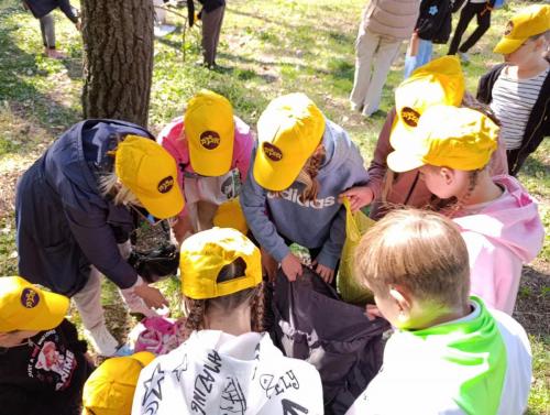 IMG-be13166de213b80eace08bd48f8283ed-V