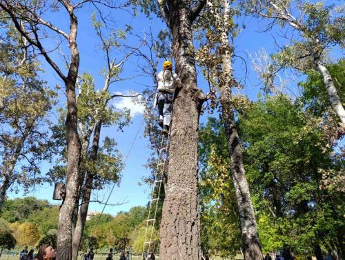 IMG-e52330a93440a59029bb67109e608c56-V